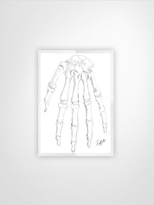 Hand anatomy